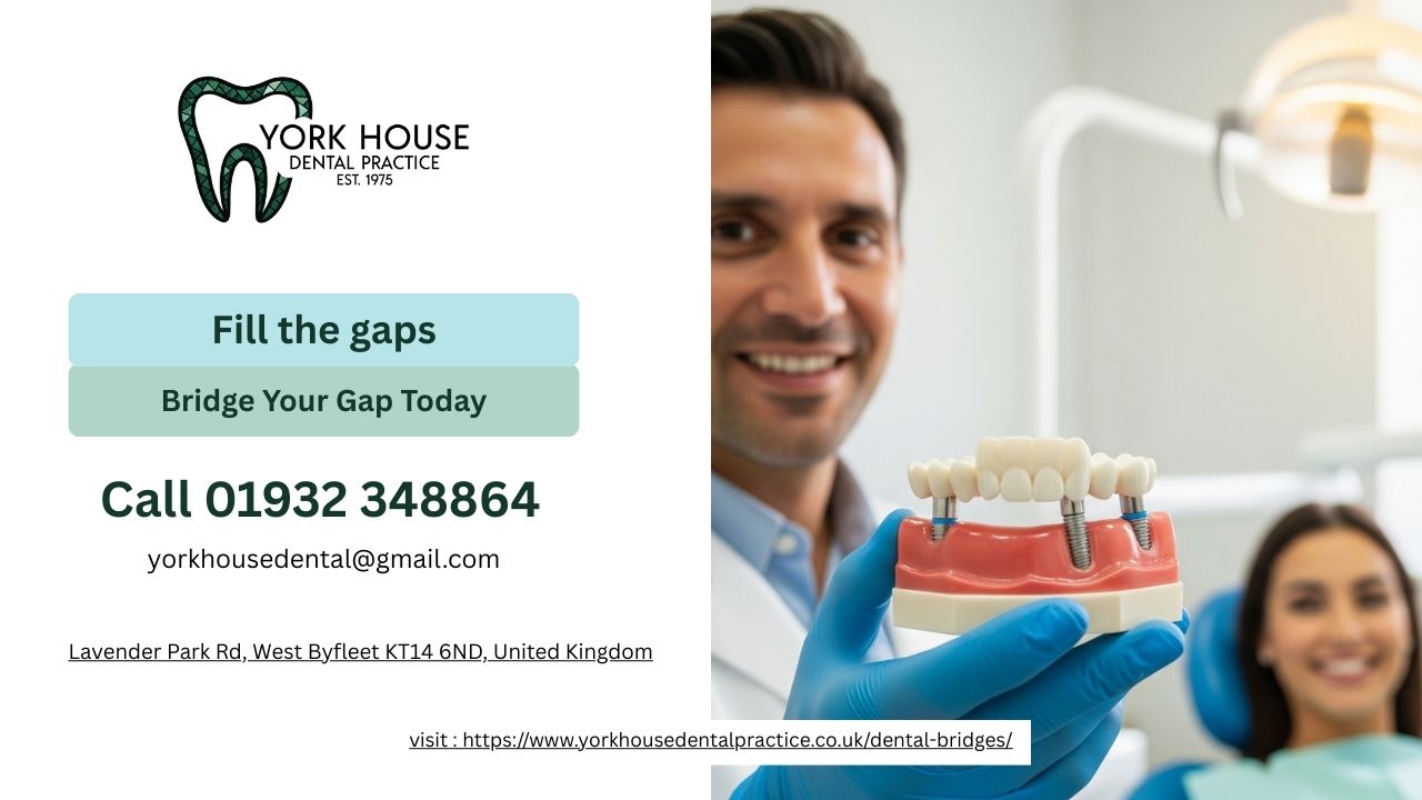 Bridges 3 2025 December Bridges