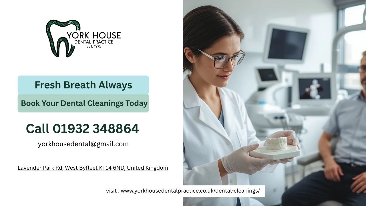 Dental Cleanings 2 2025 December Dental Cleanings