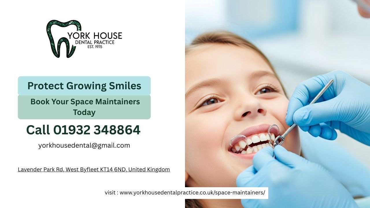 Space Maintainers 2 2025 December Space Maintainers